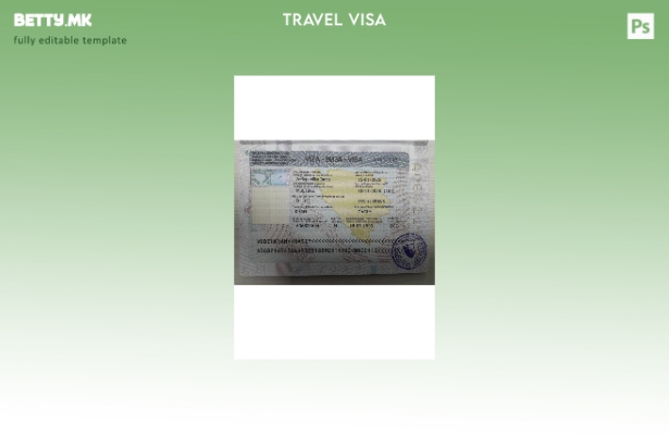 Модерен стил патна виза за Босна и Херцеговина со шаблон на страницата за пасош